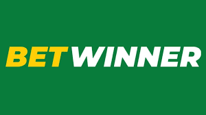 Explore BetWinner Casino and Sportsbook Thrilling Gaming Experience Awaits!