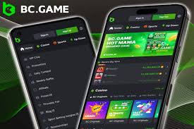 Is BC.Game a Legitimate Online Casino in Estonia